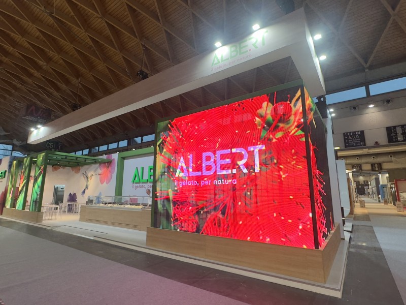 ALBERT ALBERT